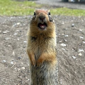 Meet your Posher, Jia